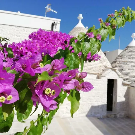 Trulli Bbalberobello Com