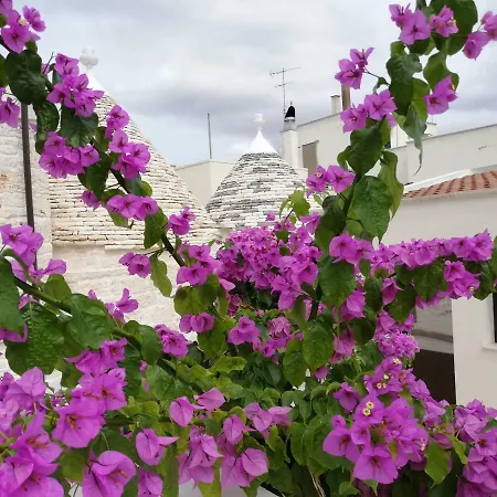 Trulli Bbalberobello Com Alberobello